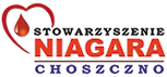 Logo - Niagara Choszczno